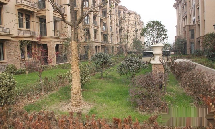 金桥花园实景图