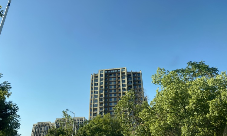 城投东方领誉施工进度图