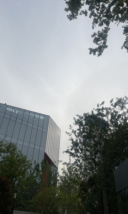 中海·寰宇天下施工进度图