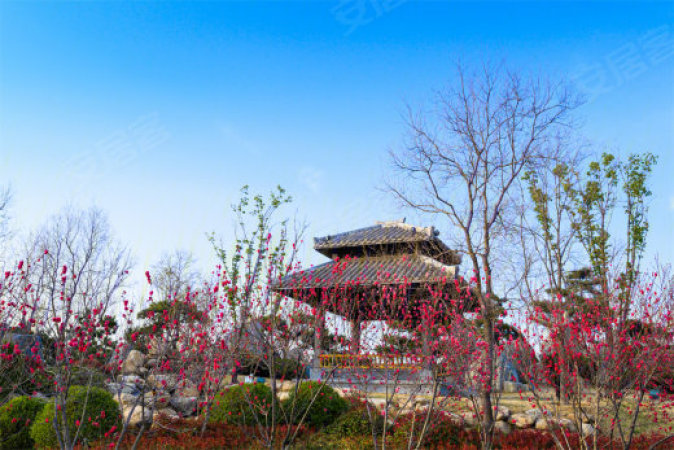 德信理想之宸周边配套图