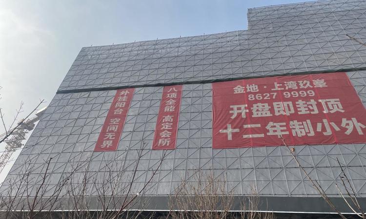 金地·上湾玖峯实景图