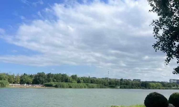 保利大都汇周边配套图