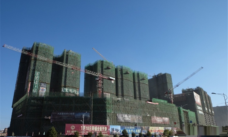 泰平盛世荷苑实景图