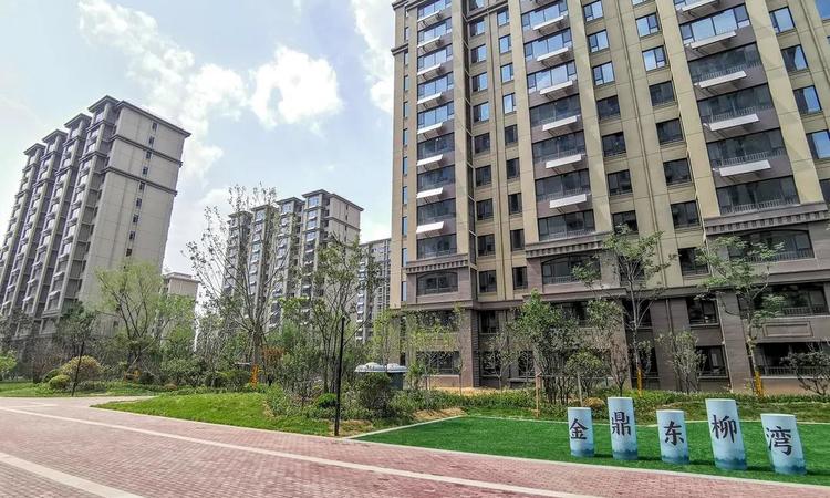 金鼎·东柳湾施工进度图