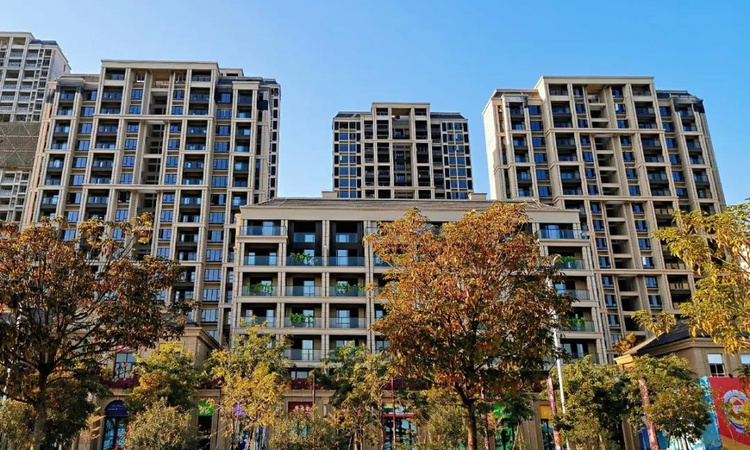 广源·华府实景图