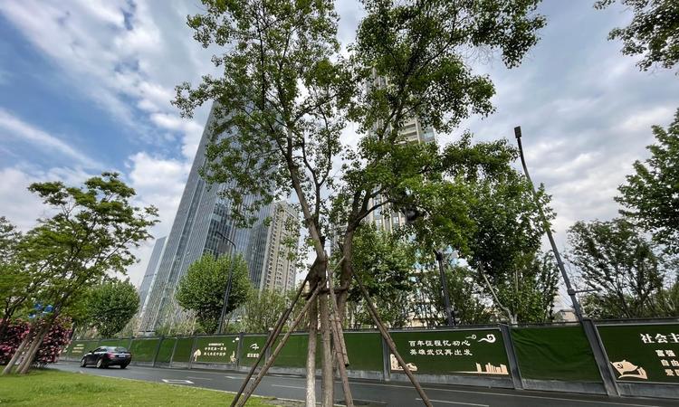 南山纵横滨江时代周边配套图