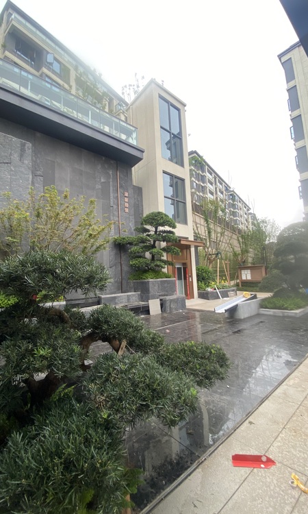 保利麓谷林语施工进度图