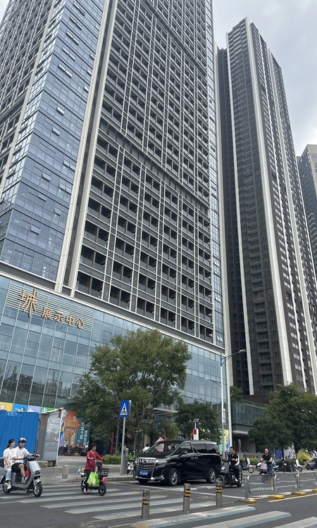 鸿荣源·壹成中心花园（壹成中心十区）实景图