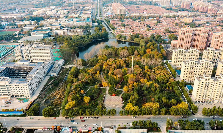 淄博万城花开实景图