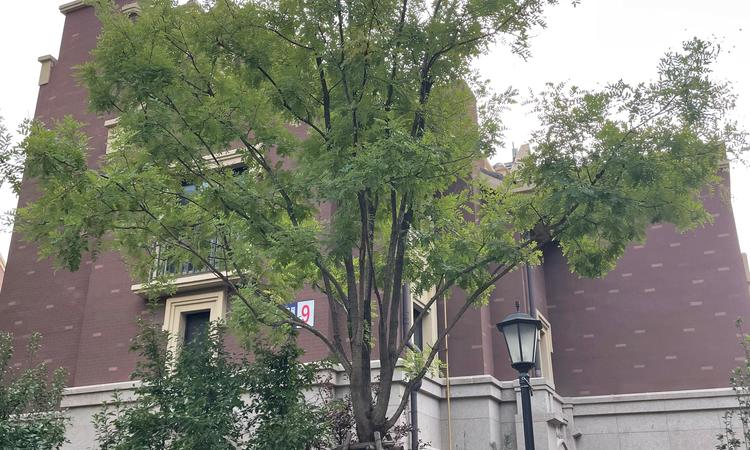 中储城邦实景图