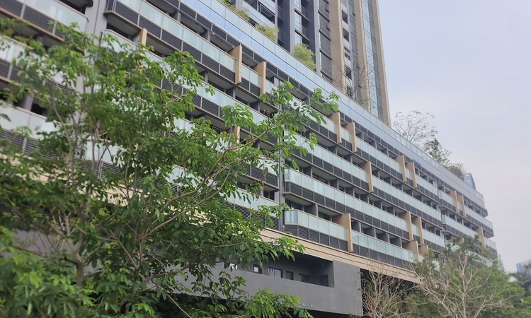 合景同创·臻林天汇施工进度图