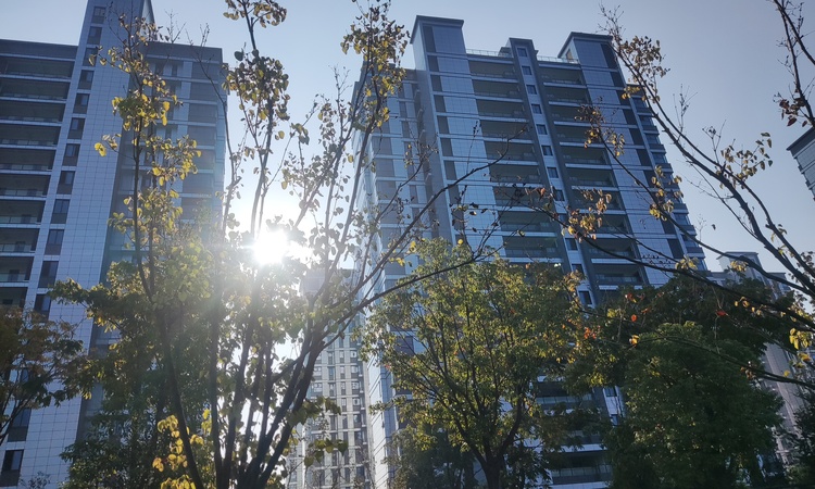华昌金沙一品实景图
