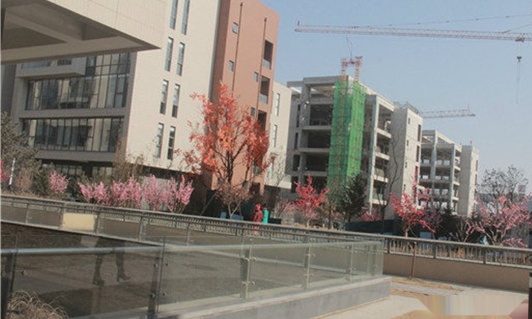 天骥智谷施工进度图