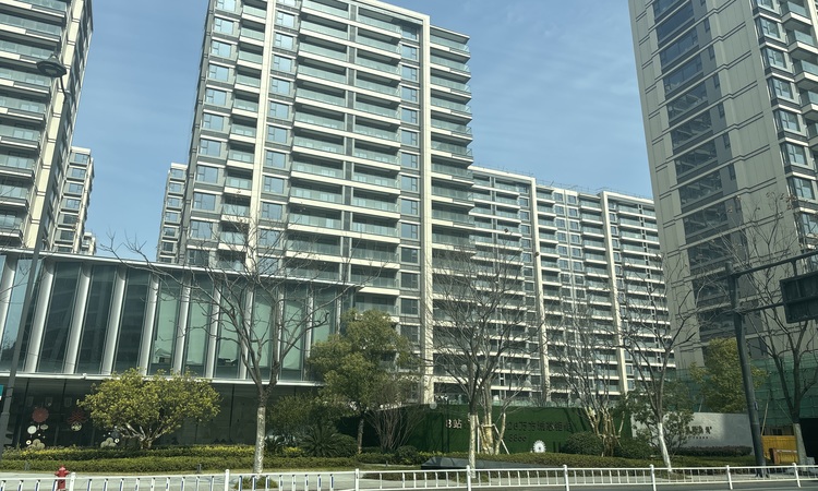 中建·潮阅尚境施工进度图