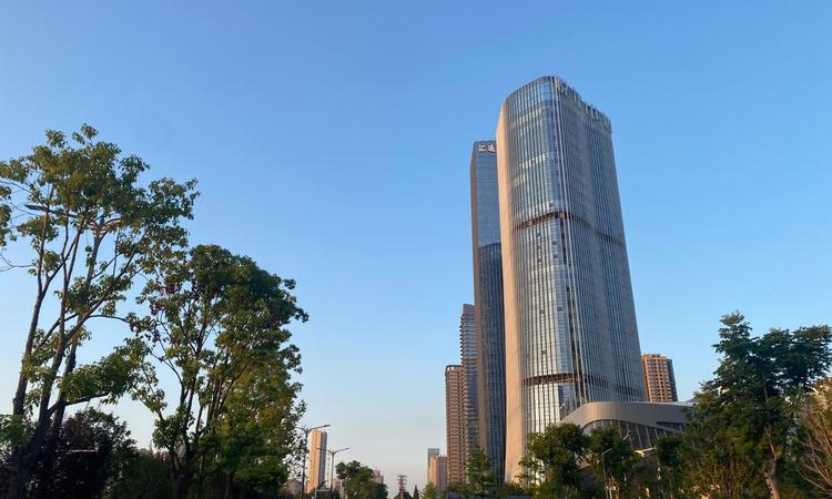 龙湖清能滨江国际周边配套图