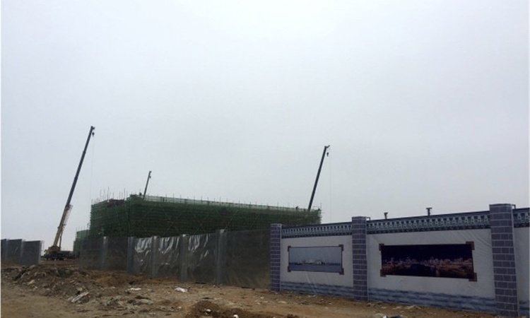 青特悦海府施工进度图