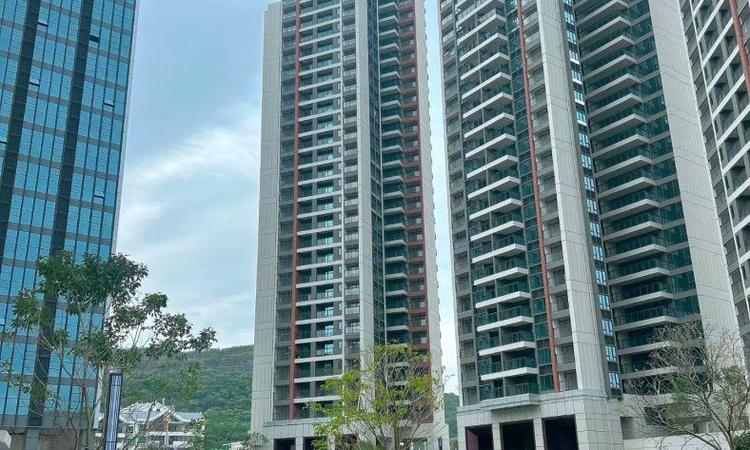 大靓华府实景图