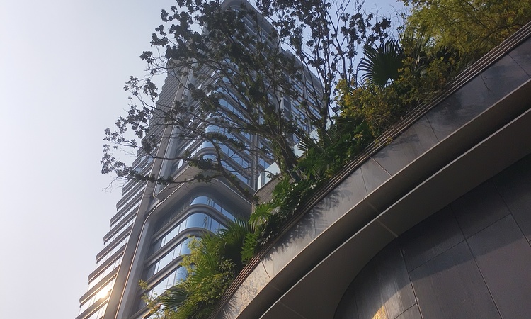 香港置地·启元施工进度图