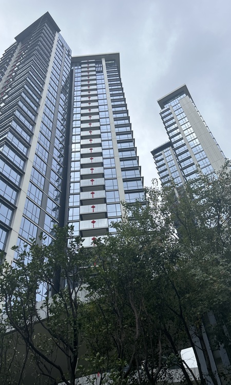 盛合天宸家园施工进度图