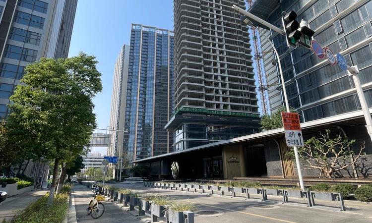 新希望·D10黑珍珠施工进度图