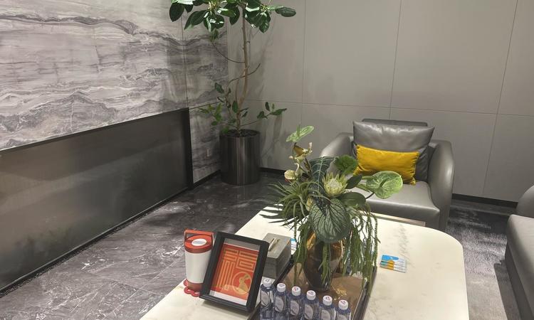 栖海澐颂实景图