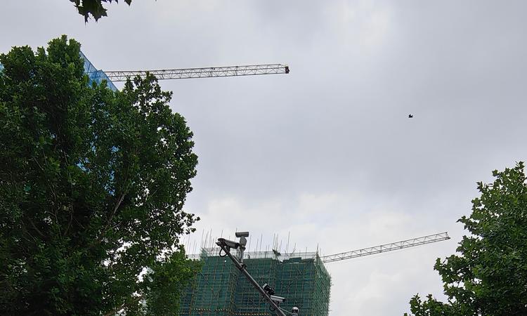 中交·和园施工进度图