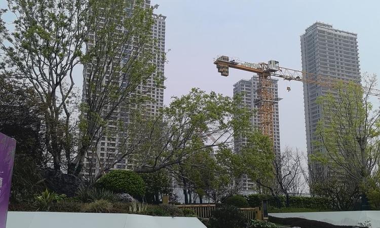 绿城桂湖雲翠实景图