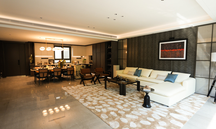 金地山川印样板间