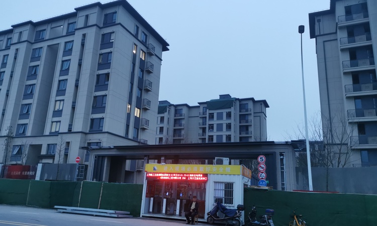 长兴金茂逸墅施工进度图