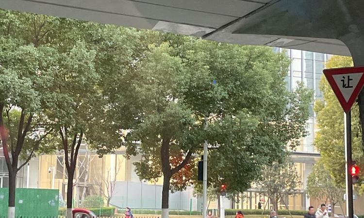 金地汉口峯汇实景图