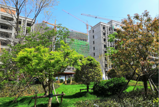 山能德圣·壹号院实景图