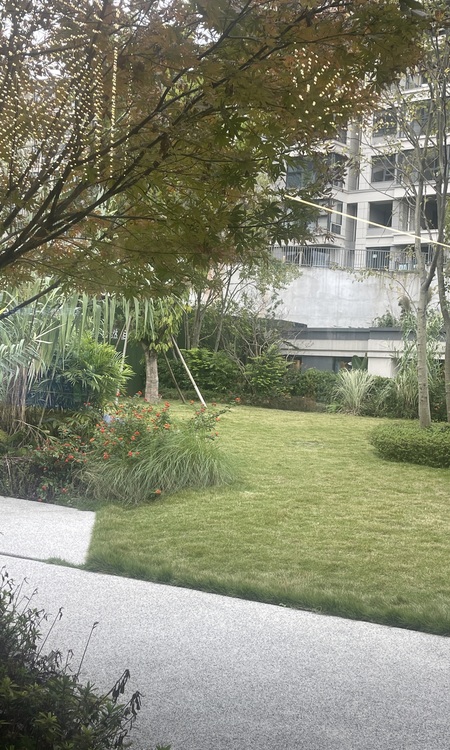 星城原麓施工进度图