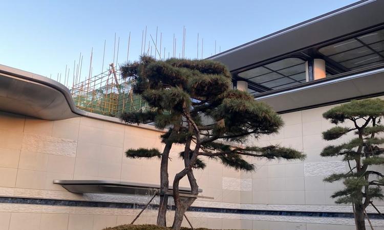 龙曜城|凤鸣实景图