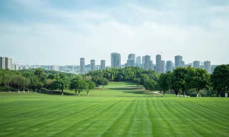 中交·拾园雅集周边配套图