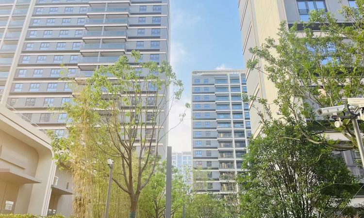 上实望海实景图