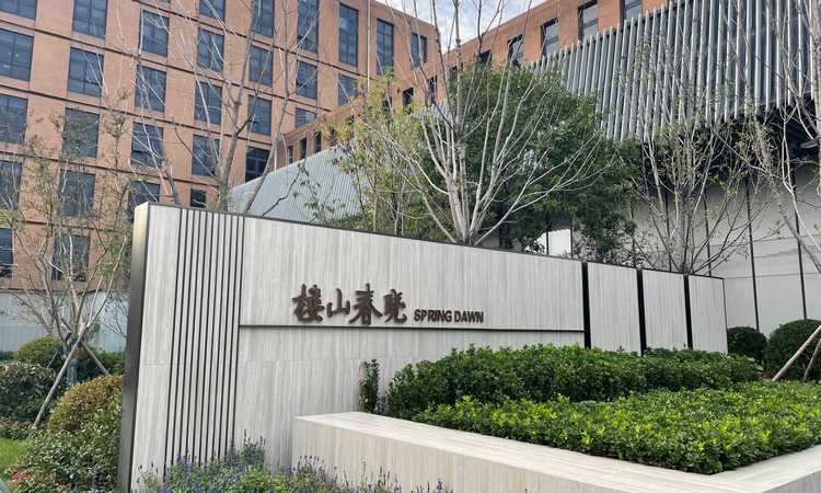 楼山春晓实景图