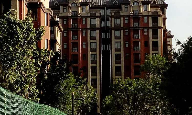九里香堤实景图