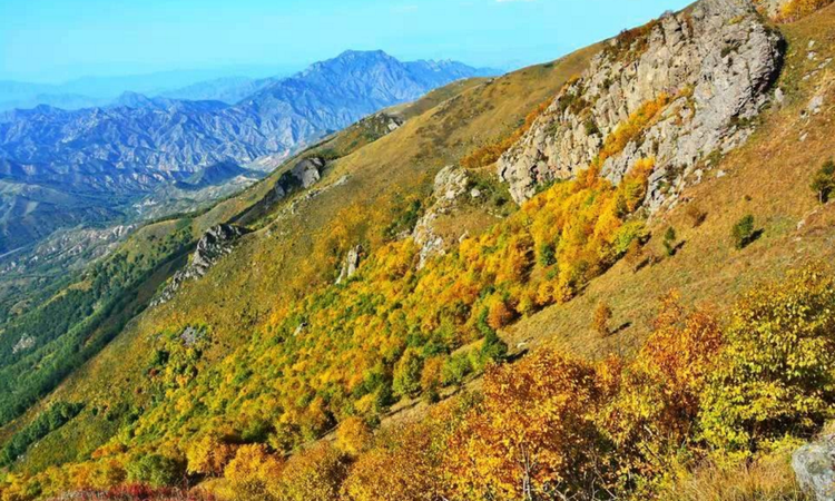黄帝城小镇《云锦台》周边配套图