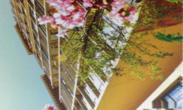 梁城美景周边配套图