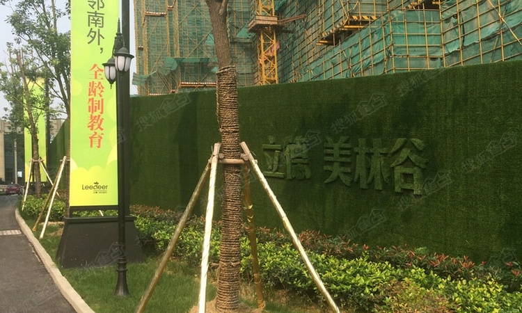 碧桂园仙林东郡施工进度图