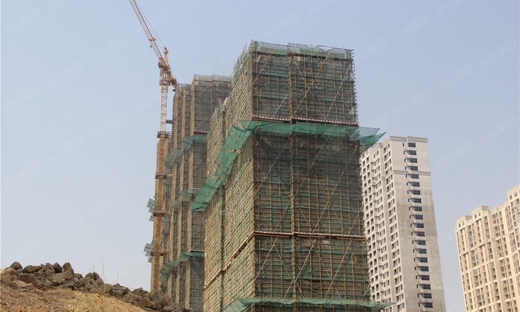 四季金辉观岚施工进度图