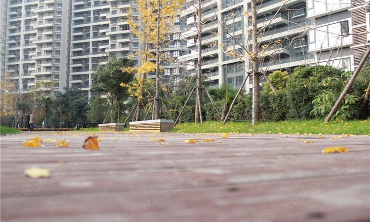 大曌国际广场实景图