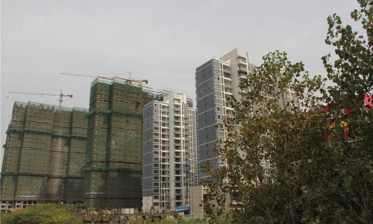 和昌仙林国际实景图