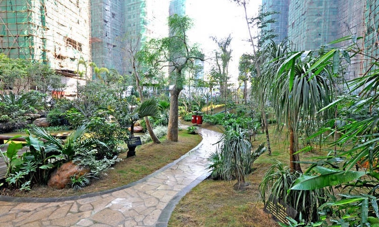 竹悦山水施工进度图