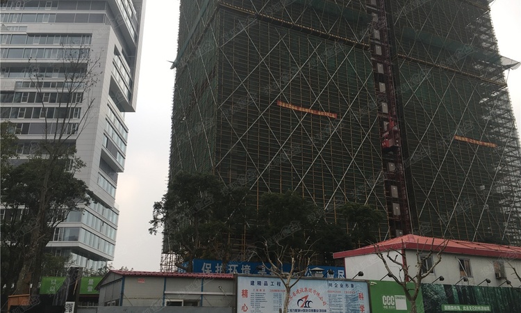 中鹰黑森林施工进度图