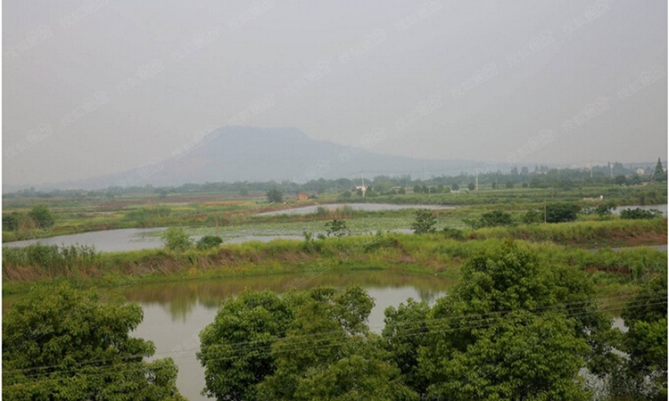 协鑫春风江南实景图