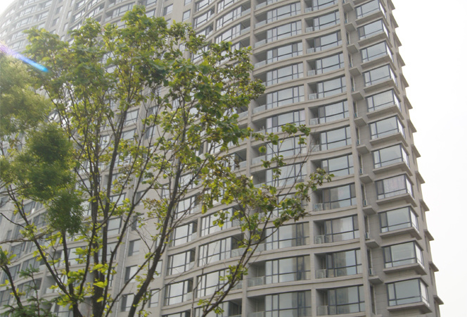 金梦海湾1号施工进度图
