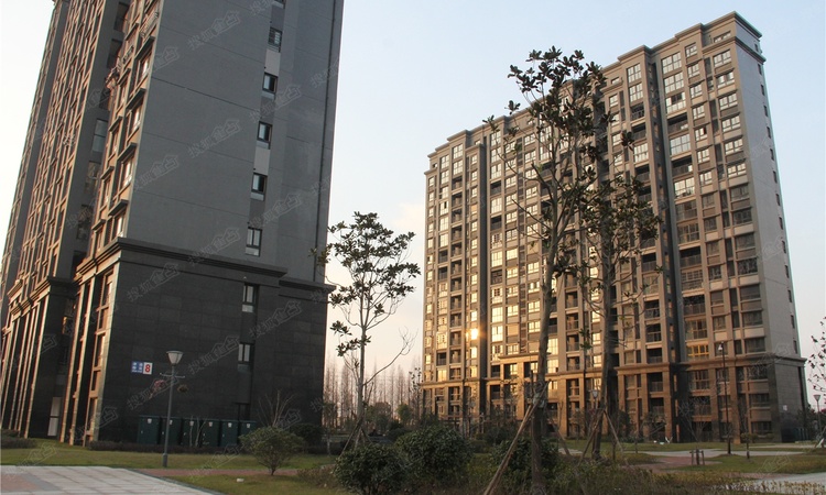 津通国际智慧谷施工进度图