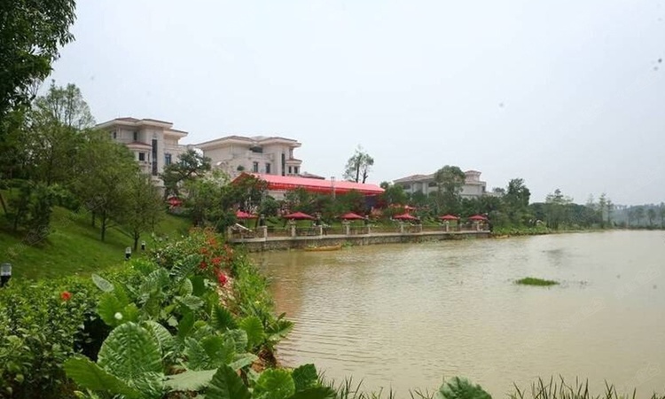 碧桂园中央公园实景图