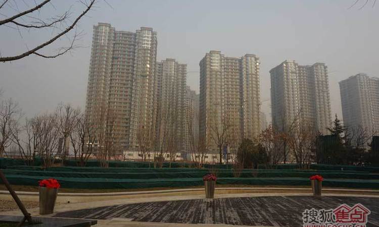 天洋城4代施工进度图